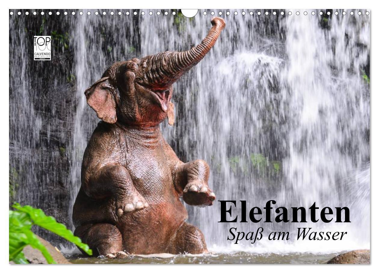 Cover: 9783675762510 | Elefanten. Spaß am Wasser (Wandkalender 2024 DIN A3 quer), CALVENDO...