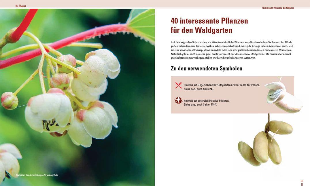 Bild: 9783258083896 | Praxisbuch Waldgarten | Natürlicher Anbau mit Permakultur | Buch