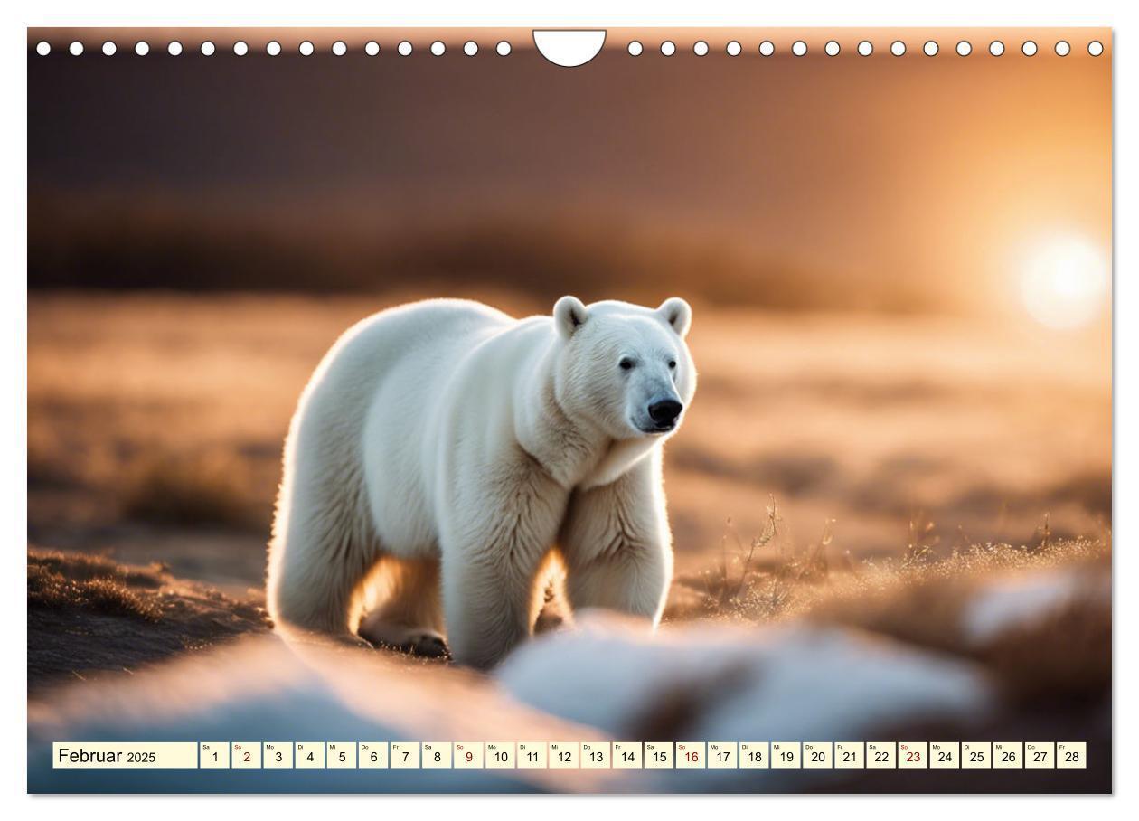 Bild: 9783383819957 | Eisbären im Fokus (Wandkalender 2025 DIN A4 quer), CALVENDO...