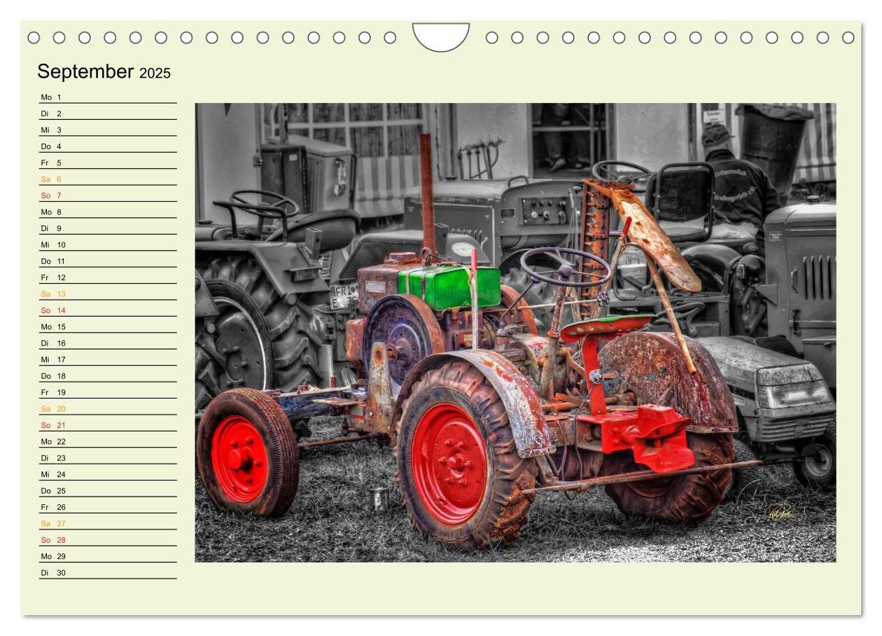 Bild: 9783435586738 | Traktoren - Oldtimer (Wandkalender 2025 DIN A4 quer), CALVENDO...