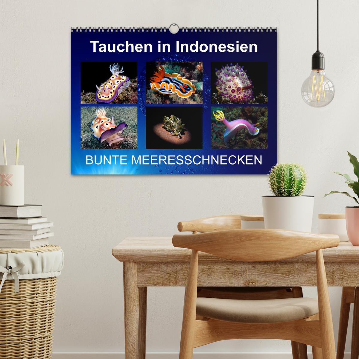 Bild: 9783435024490 | Tauchen in Indonesien - BUNTE MEERESSCHNECKEN (Wandkalender 2025...