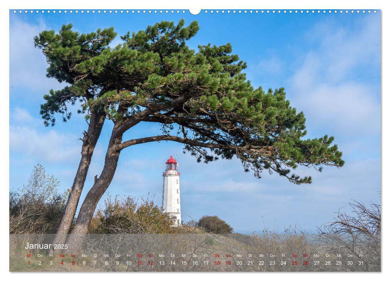 Bild: 9783383868481 | Inseelfeeling - Hiddensee (Wandkalender 2025 DIN A2 quer), CALVENDO...