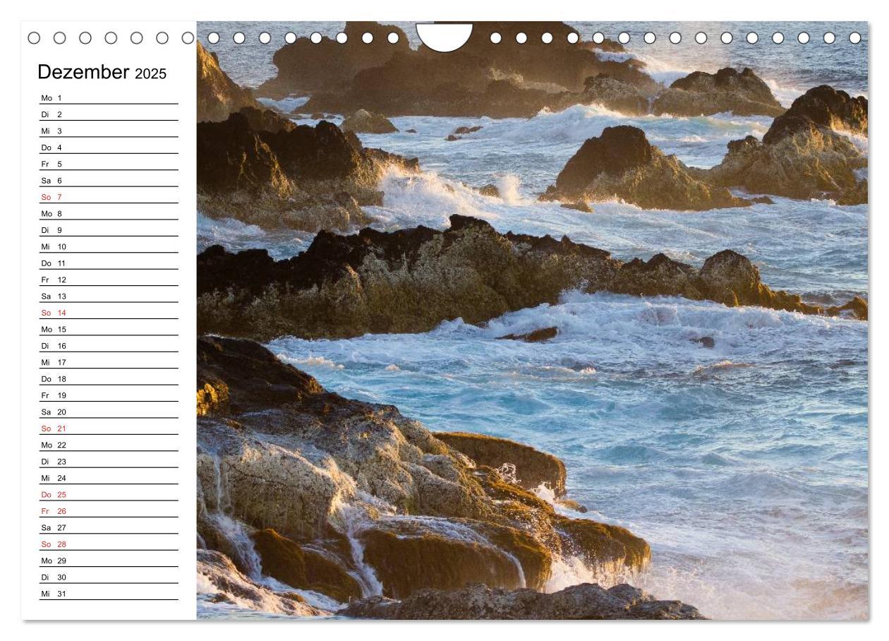 Bild: 9783435523368 | Azoren - São Miguel (Wandkalender 2025 DIN A4 quer), CALVENDO...