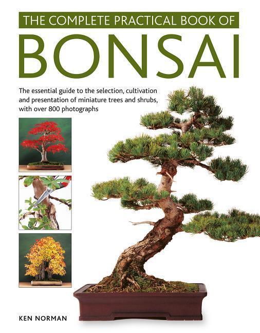 Cover: 9780754834854 | The Complete Practical Book of Bonsai | Ken Norman | Buch | Englisch