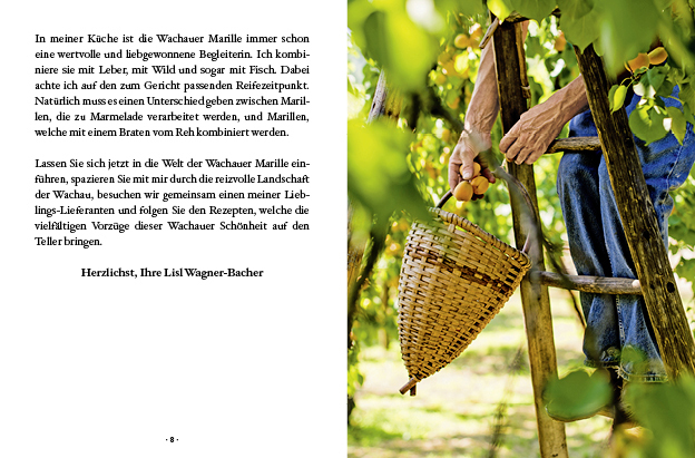 Bild: 9783710401985 | Das kleine Buch: Die besten Marillenrezepte | Von Lisl Wagner-Bacher