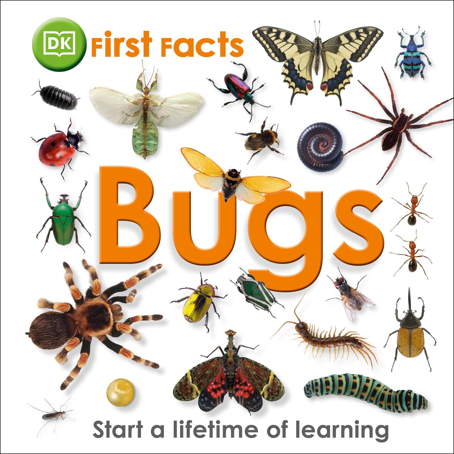 Cover: 9781405368131 | First Facts Bugs | DK | Buch | First Facts | 34 S. | Englisch | 2011