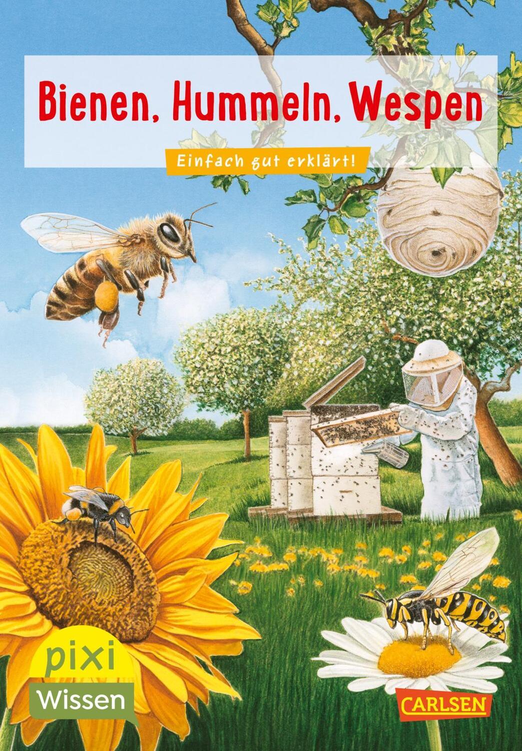 Cover: 9783551231512 | VE 5: Bienen, Hummeln, Wespen | Einfach gut erklärt | Bärbel Oftring