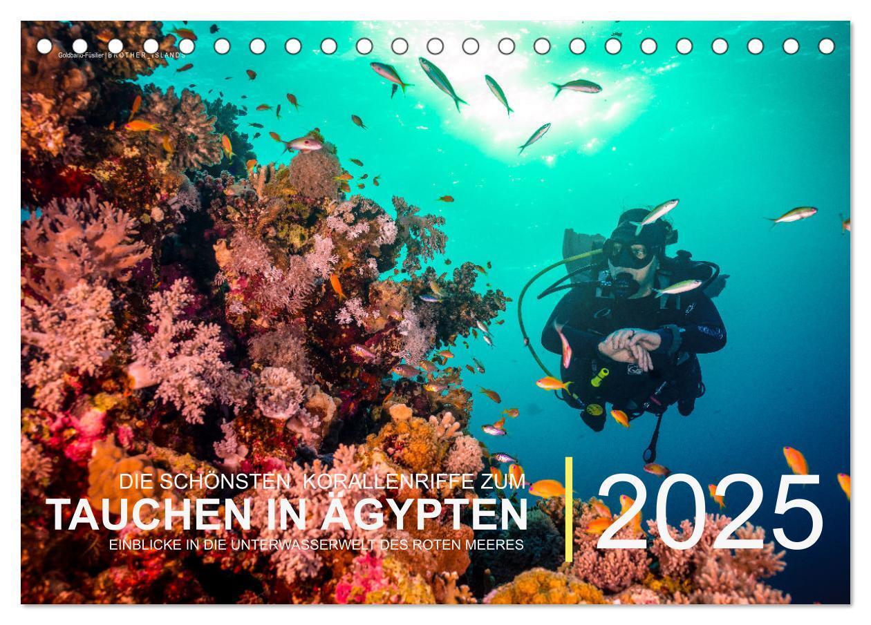 Cover: 9783435103164 | Die schönsten Korallenriffe zum Tauchen in Ägypten (Tischkalender...