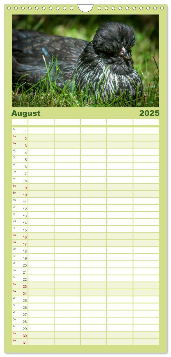 Bild: 9783457116302 | Familienplaner 2025 - Gartenhühner mit 5 Spalten (Wandkalender, 21...