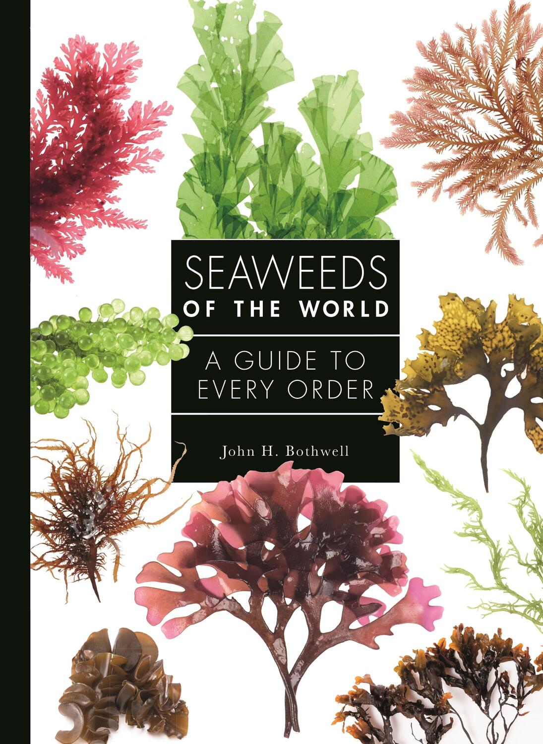 Cover: 9780691228549 | Seaweeds of the World | A Guide to Every Order | John Bothwell | Buch
