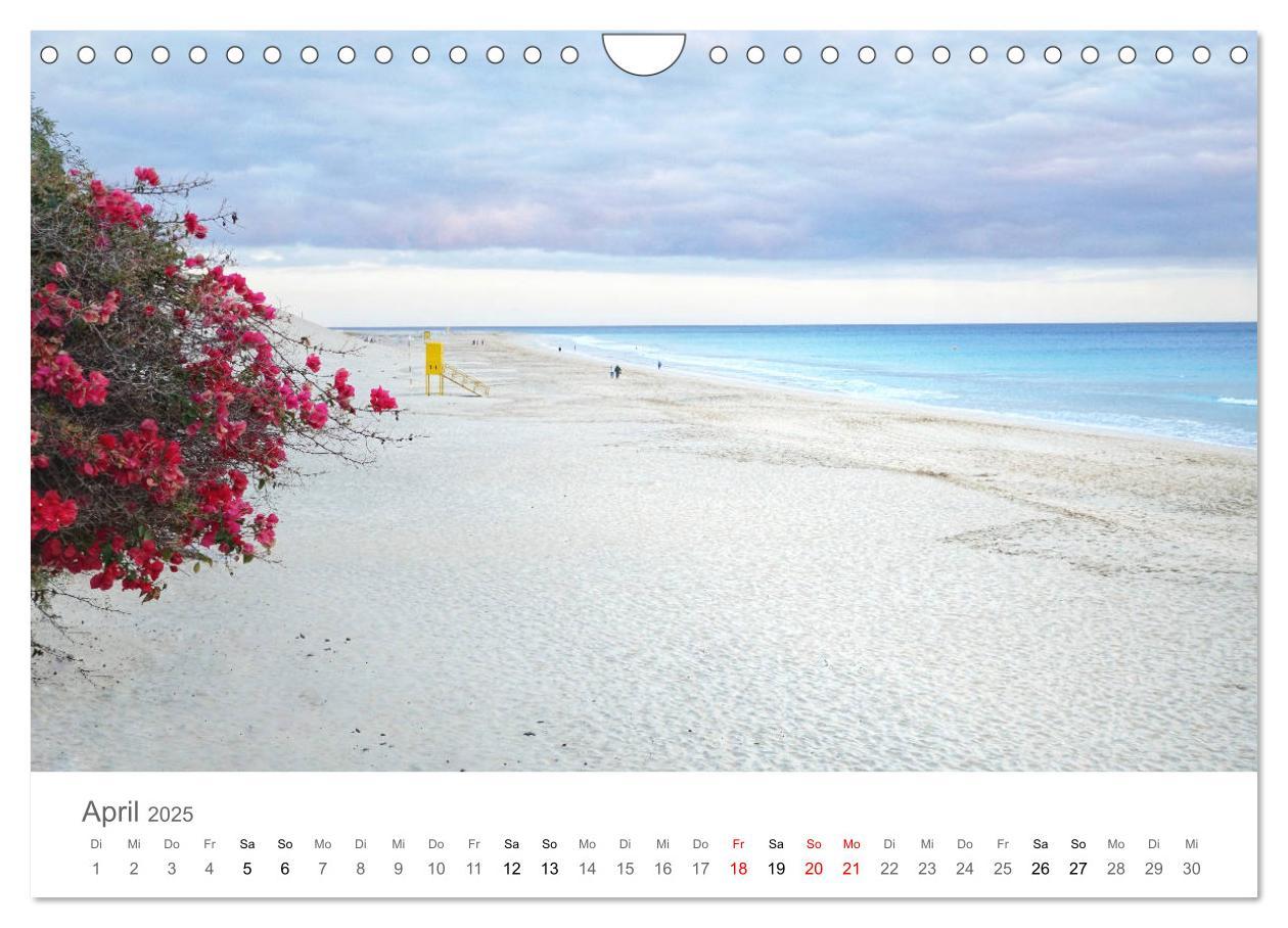 Bild: 9783435218882 | Fuerteventura - die Wüsteninsel der Kanaren (Wandkalender 2025 DIN...