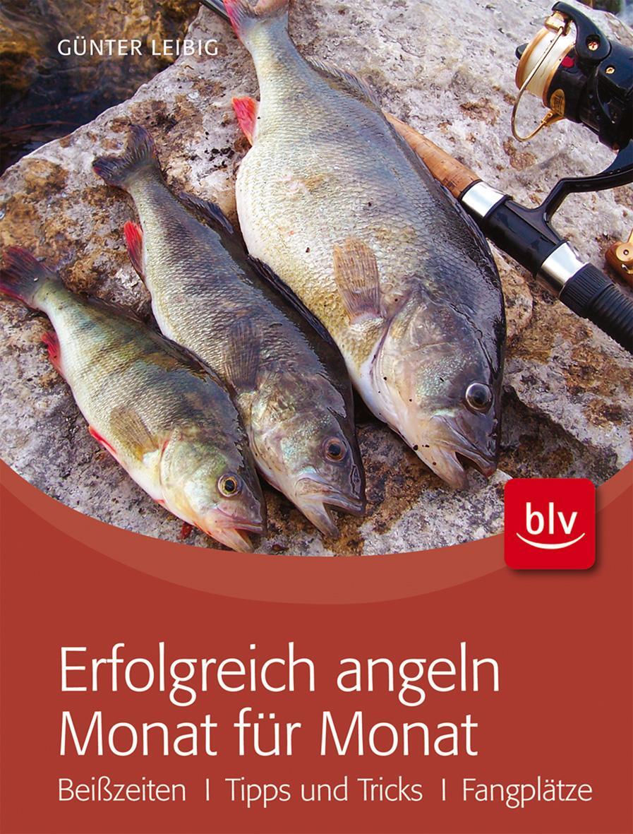 Cover: 9783835407336 | Erfolgreich angeln Monat für Monat | Günter Leibig | Taschenbuch | BLV