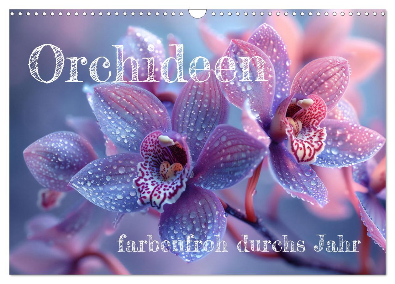 Cover: 9783457165126 | Orchideen - farbenfroh durchs Jahr (Wandkalender 2025 DIN A3 quer),...