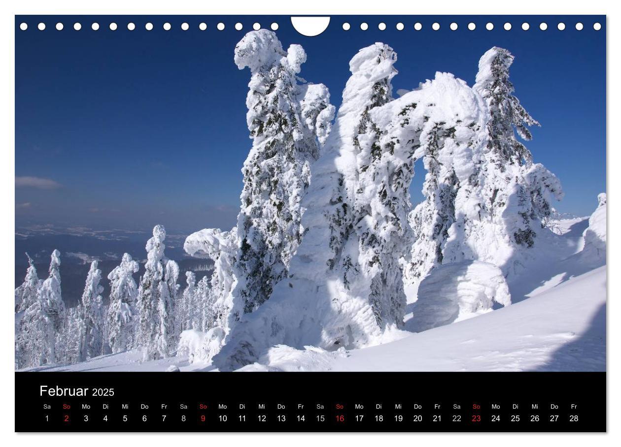 Bild: 9783435685011 | Bayerischer Wald - der Osten Bayerns (Wandkalender 2025 DIN A4...