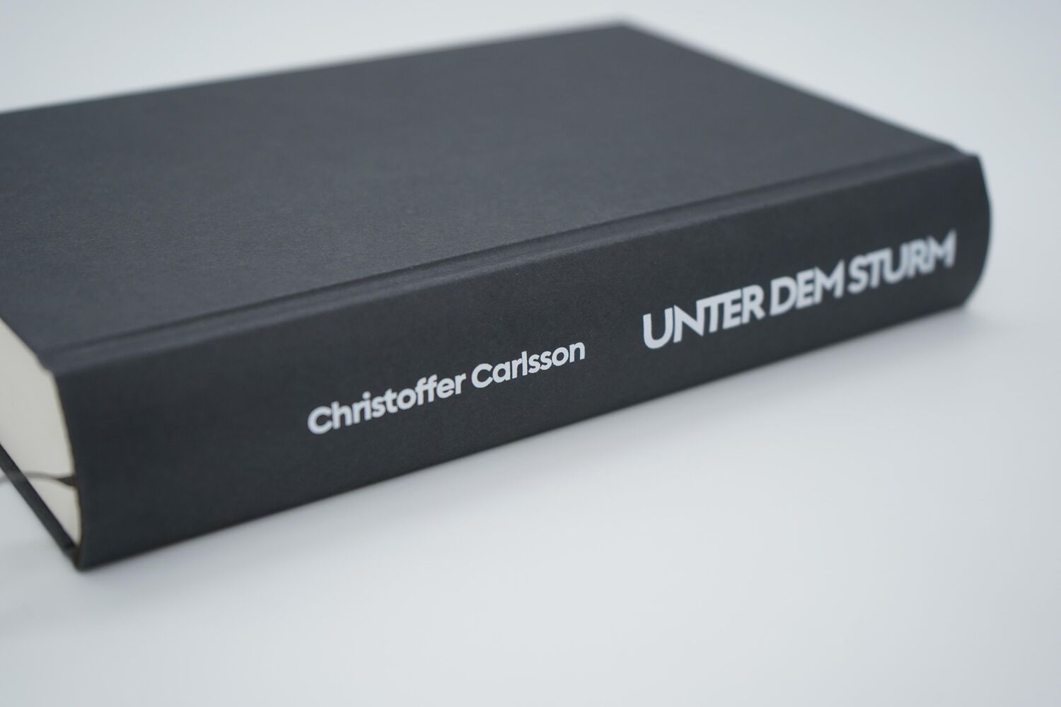 Bild: 9783498001605 | Unter dem Sturm | Kriminalroman | Christoffer Carlsson | Buch | 464 S.