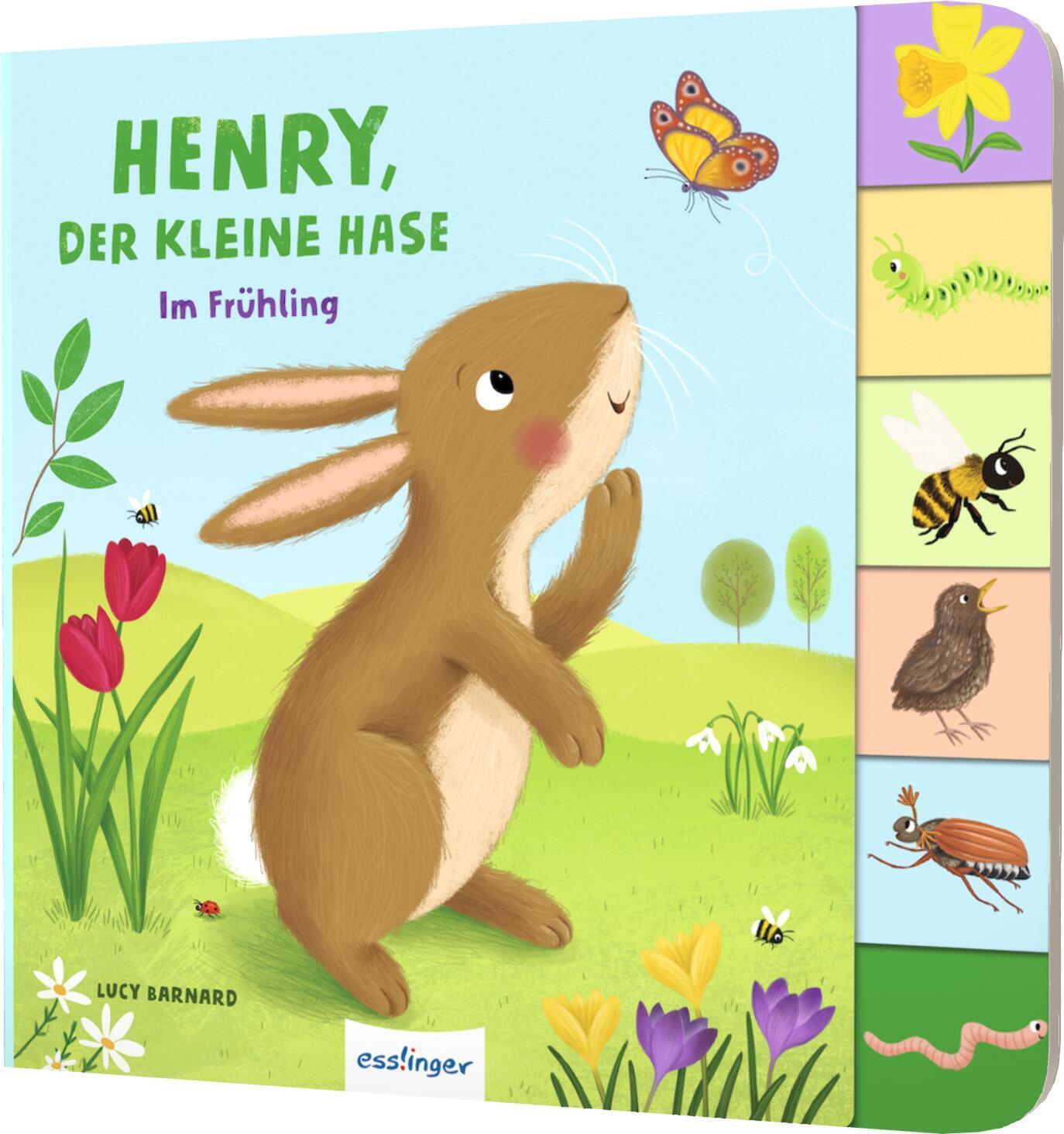 Cover: 9783480238187 | Mein erstes Jahreszeitenbuch: Henry, der kleine Hase | Anja Kiel