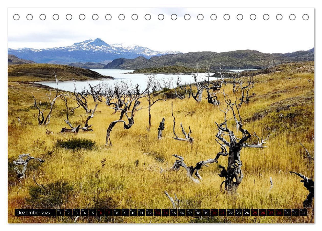 Bild: 9783435404018 | Patagonien - Parques Torres del Paine und Los Glaciares...