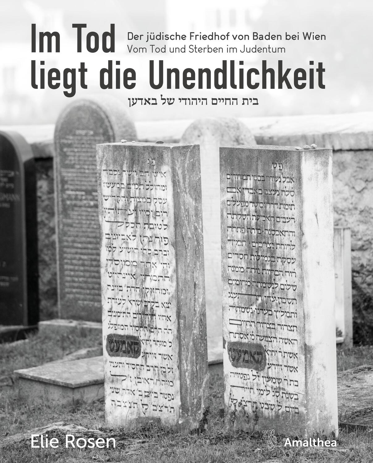 Cover: 9783990502457 | Im Tod liegt die Unendlichkeit | Elie Rosen | Buch | Deutsch | 2023