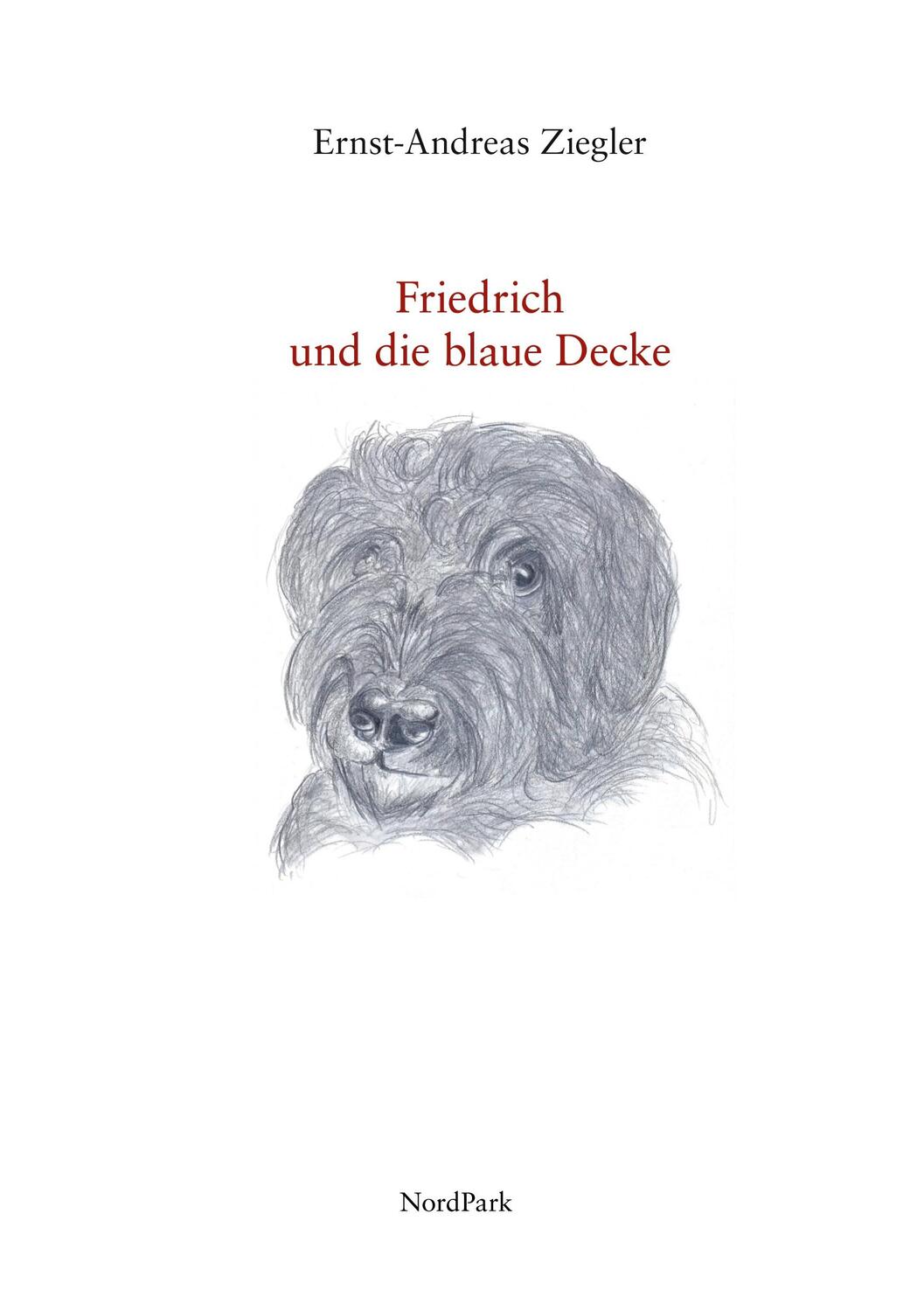 Cover: 9783943940732 | Friedrich und die blaue Decke | Eine wahre Geschichte | Ziegler | Buch