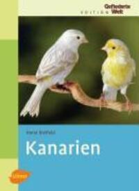Cover: 9783800156603 | Kanarien | Horst Bielfeld | Buch | Edition Gefiederte Welt | Deutsch