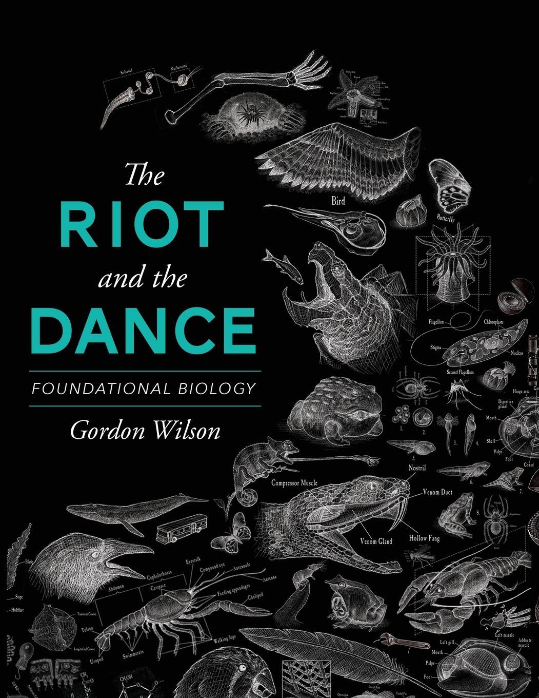 Cover: 9781591281238 | The Riot and the Dance | Foundational Biology | Gordon Wilson | Buch