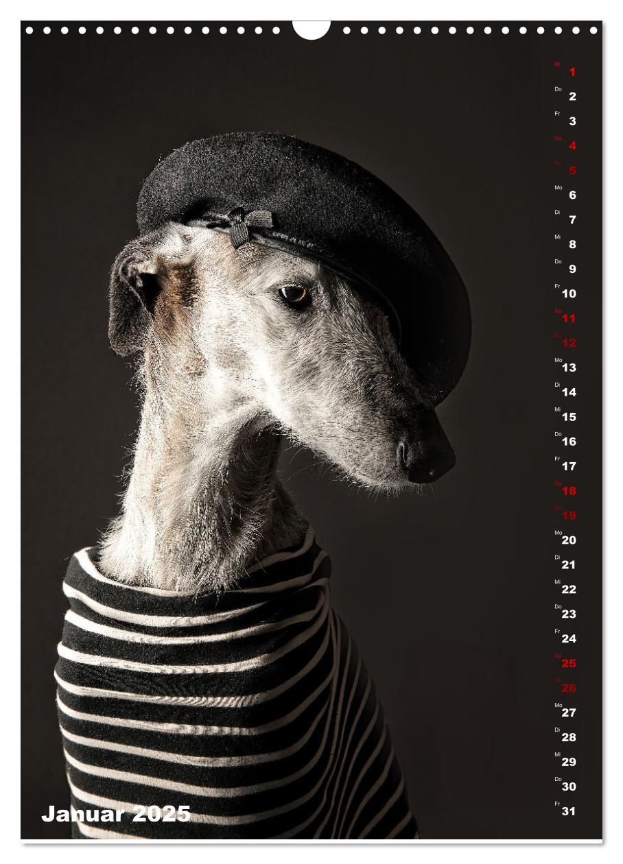 Bild: 9783457230824 | dogmuse deluxe (Wandkalender 2025 DIN A3 hoch), CALVENDO...