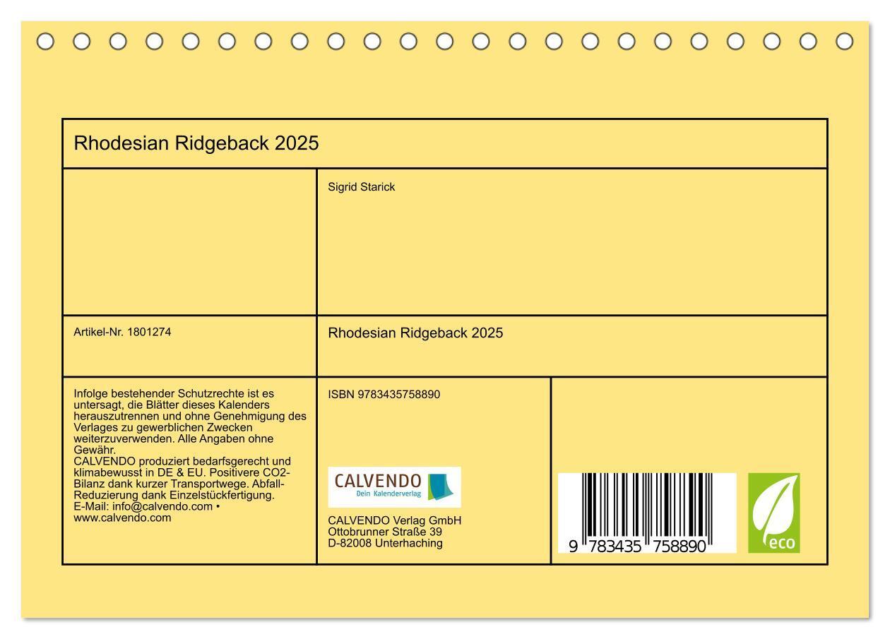 Bild: 9783435758890 | Rhodesian Ridgeback 2025 (Tischkalender 2025 DIN A5 quer), CALVENDO...