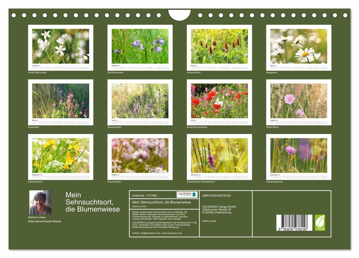 Bild: 9783435078158 | Mein Sehnsuchtsort, die Blumenwiese (Wandkalender 2025 DIN A4...