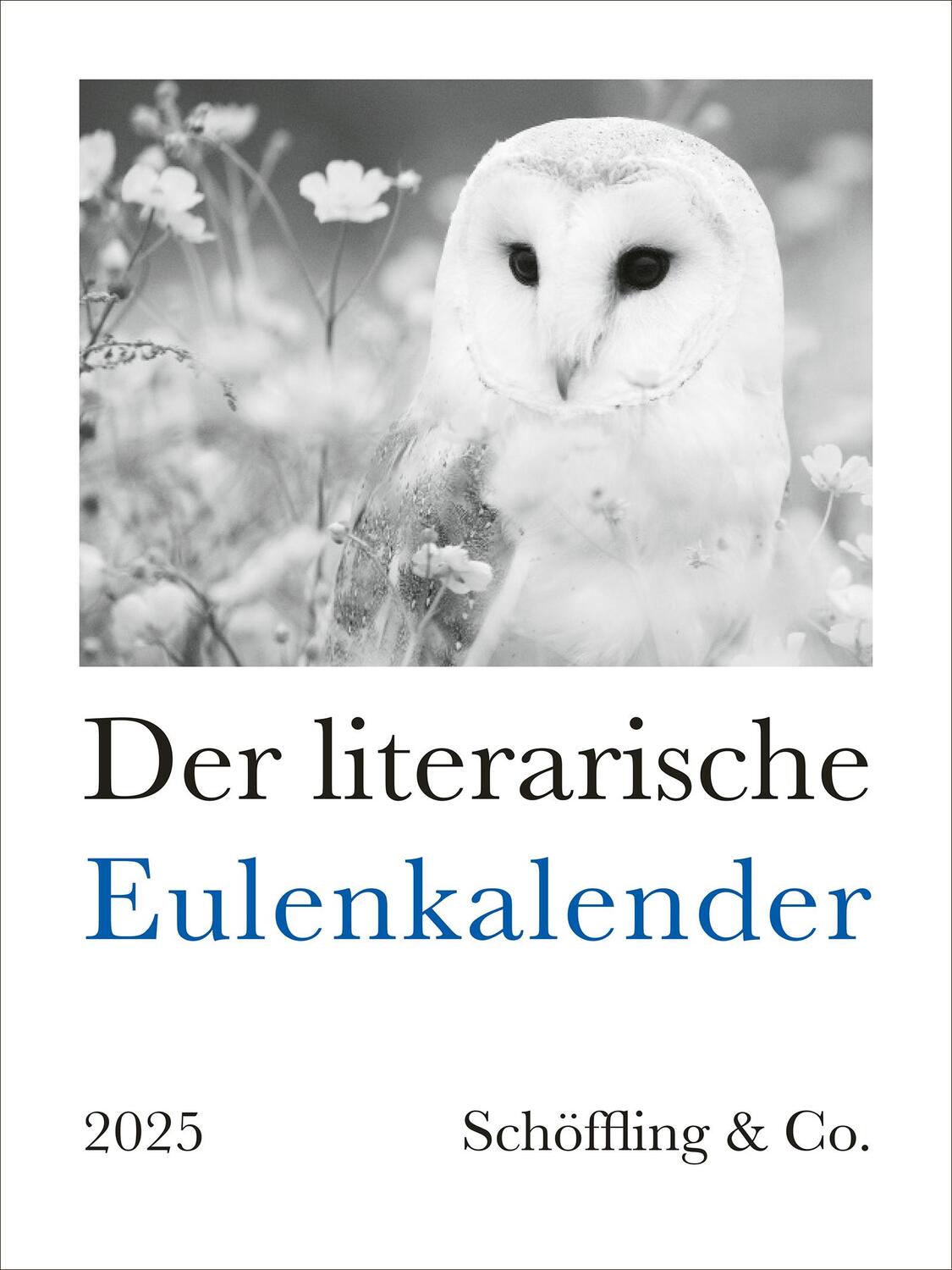 Cover: 9783895617997 | Der literarische Eulenkalender 2025 | Zweifarbiger Wochenkalender