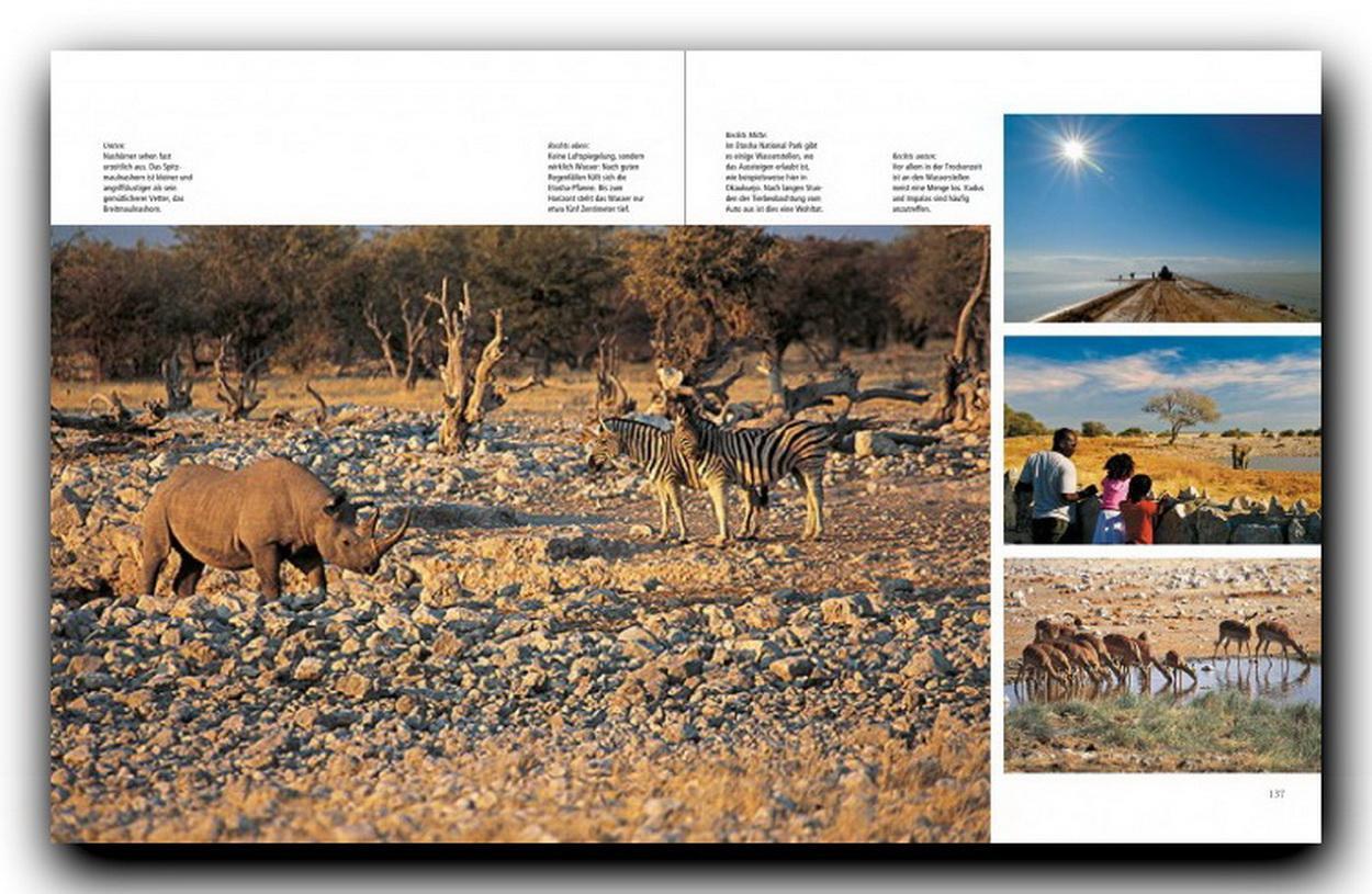 Bild: 9783800344284 | Namibia | Peter Pack (u. a.) | Buch | Horizont | Deutsch | 2010