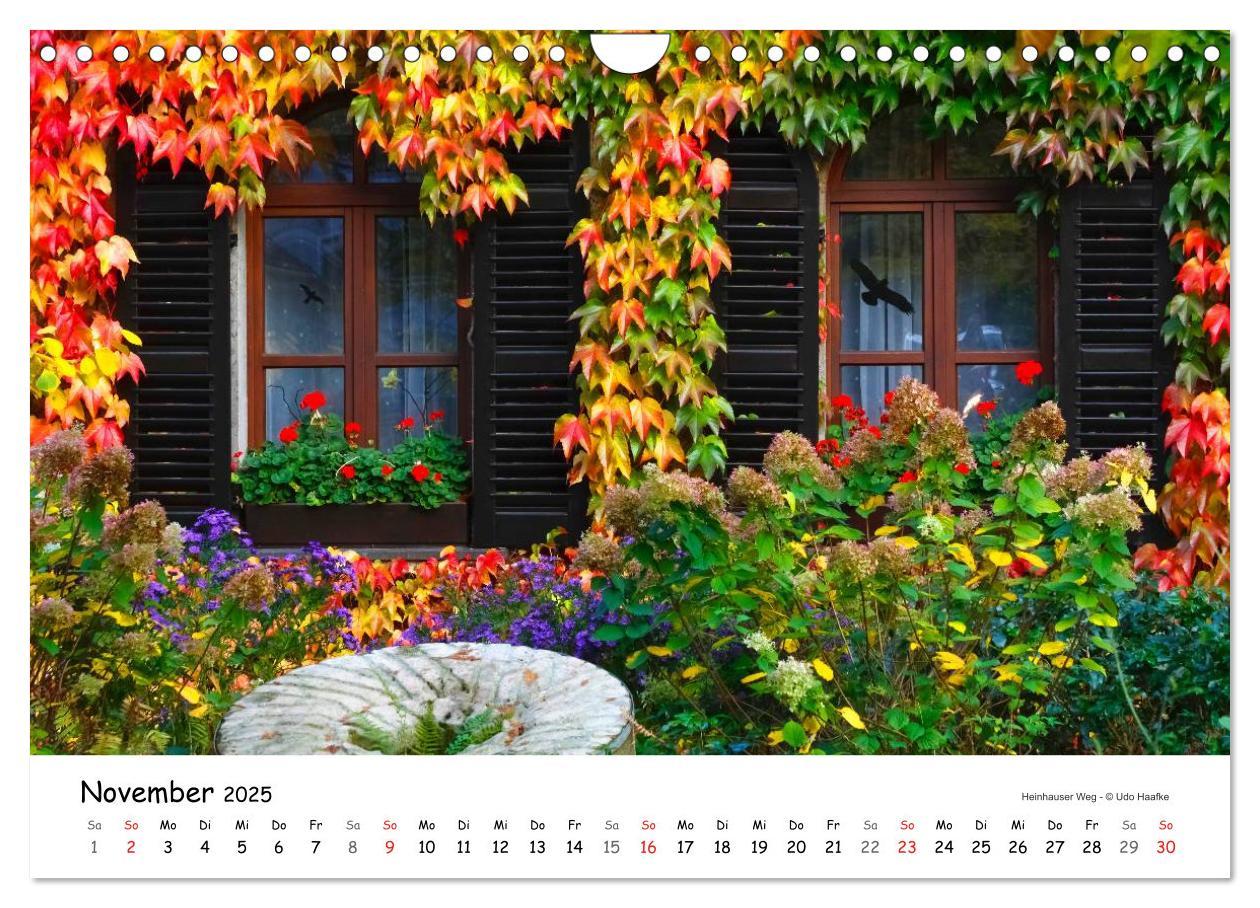 Bild: 9783435726585 | Haaner Bilderbogen 2025 (Wandkalender 2025 DIN A4 quer), CALVENDO...