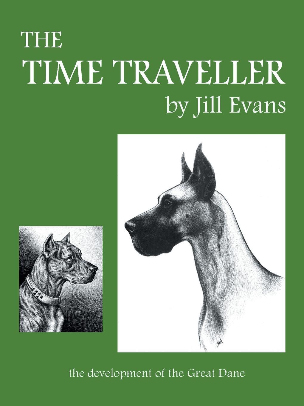 Cover: 9781491715161 | The Time Traveller | Jill Evans | Taschenbuch | Paperback | Englisch