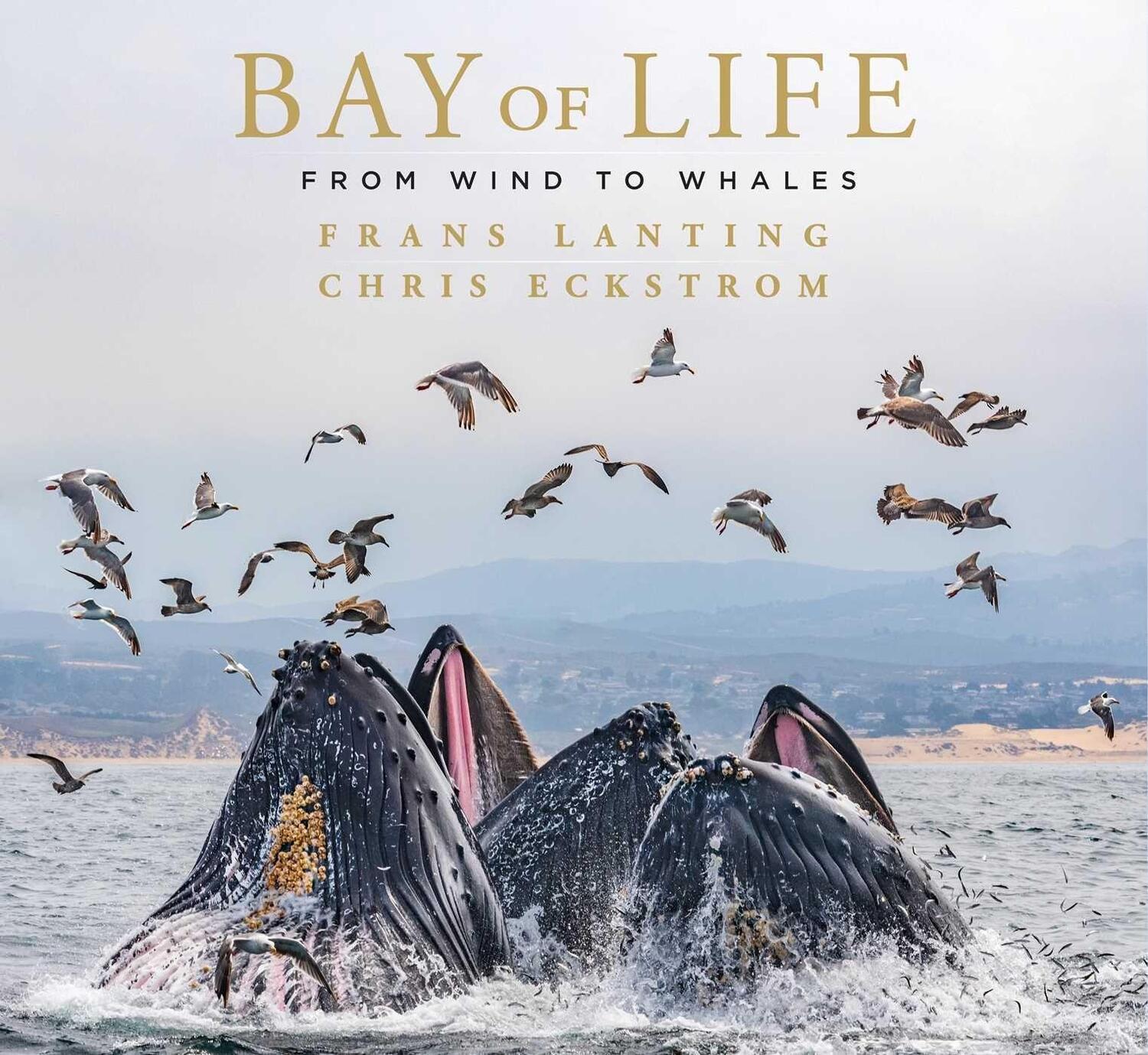 Cover: 9781647221430 | Bay of Life | From Wind to Whales | Frans Lanting (u. a.) | Buch