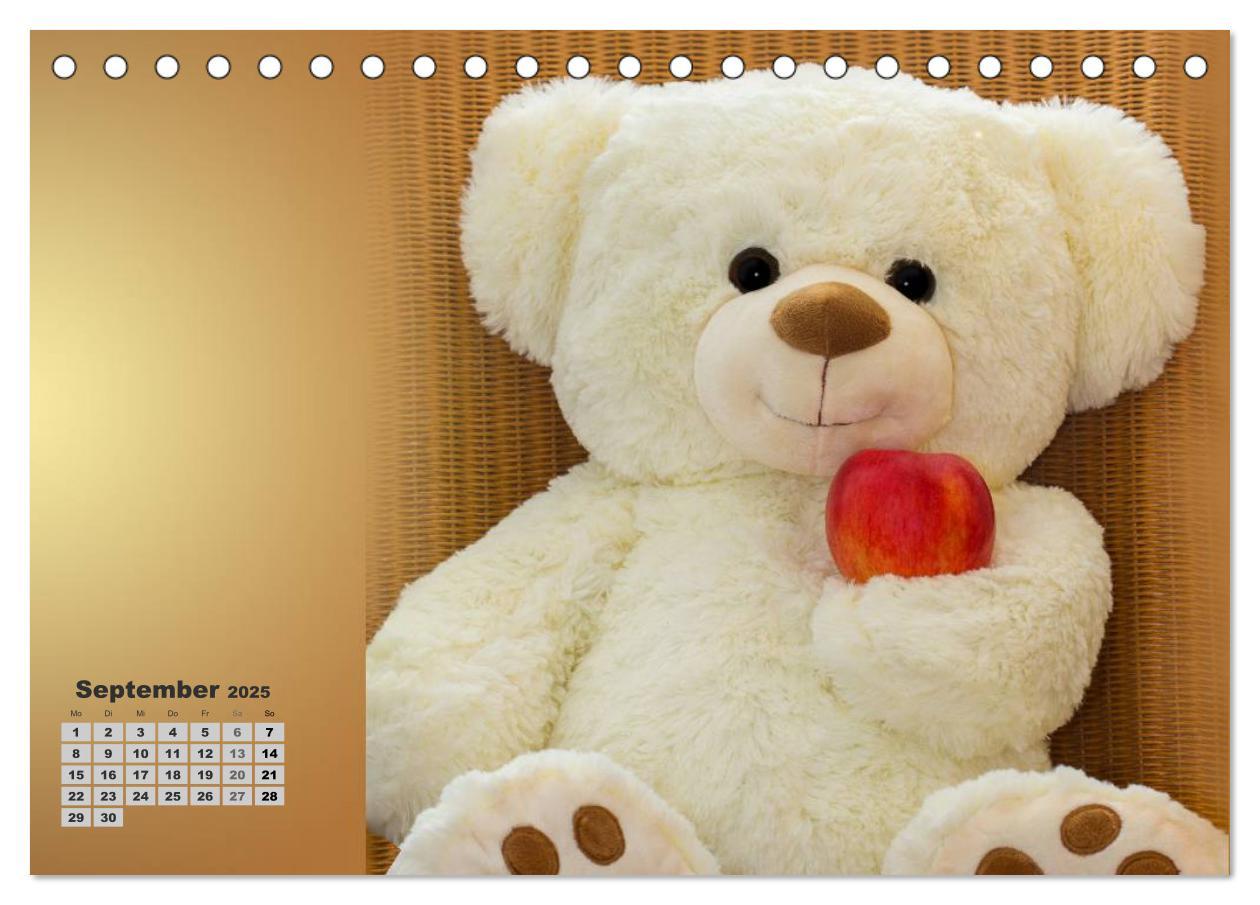 Bild: 9783435501601 | Teddys, wollen wir Kalender anschauen? (Tischkalender 2025 DIN A5...