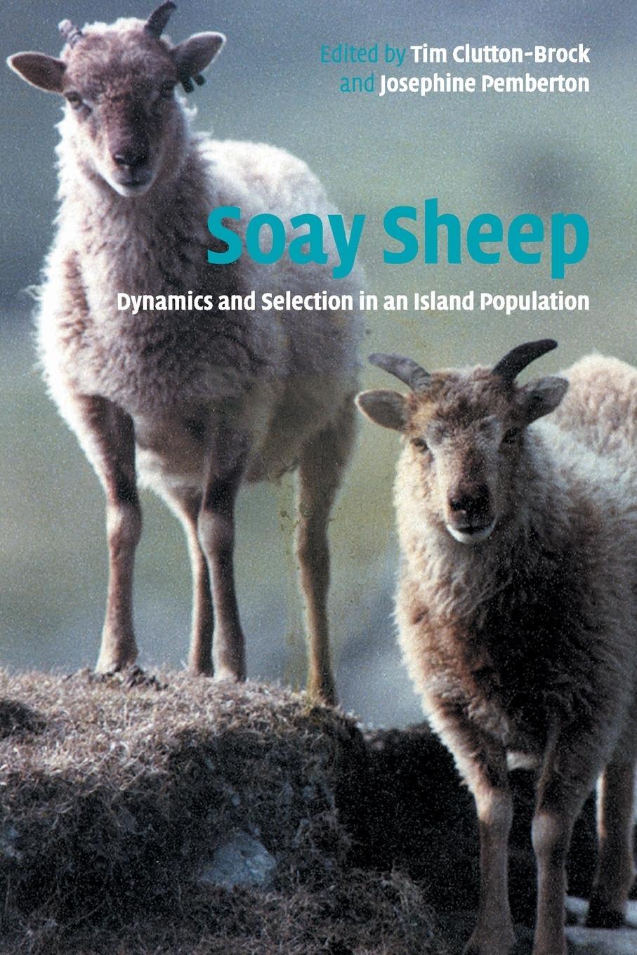 Cover: 9780521529907 | Soay Sheep | J. M. Pemberton | Taschenbuch | Paperback | Englisch