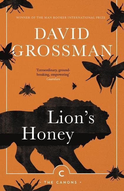 Cover: 9781786893383 | Lion's Honey | The Myth of Samson | David Grossman | Taschenbuch