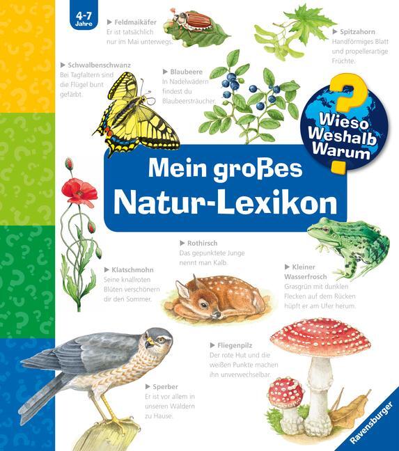 Cover: 9783473329892 | Wieso? Weshalb? Warum?: Mein großes Natur-Lexikon | Sandra Noa | Buch