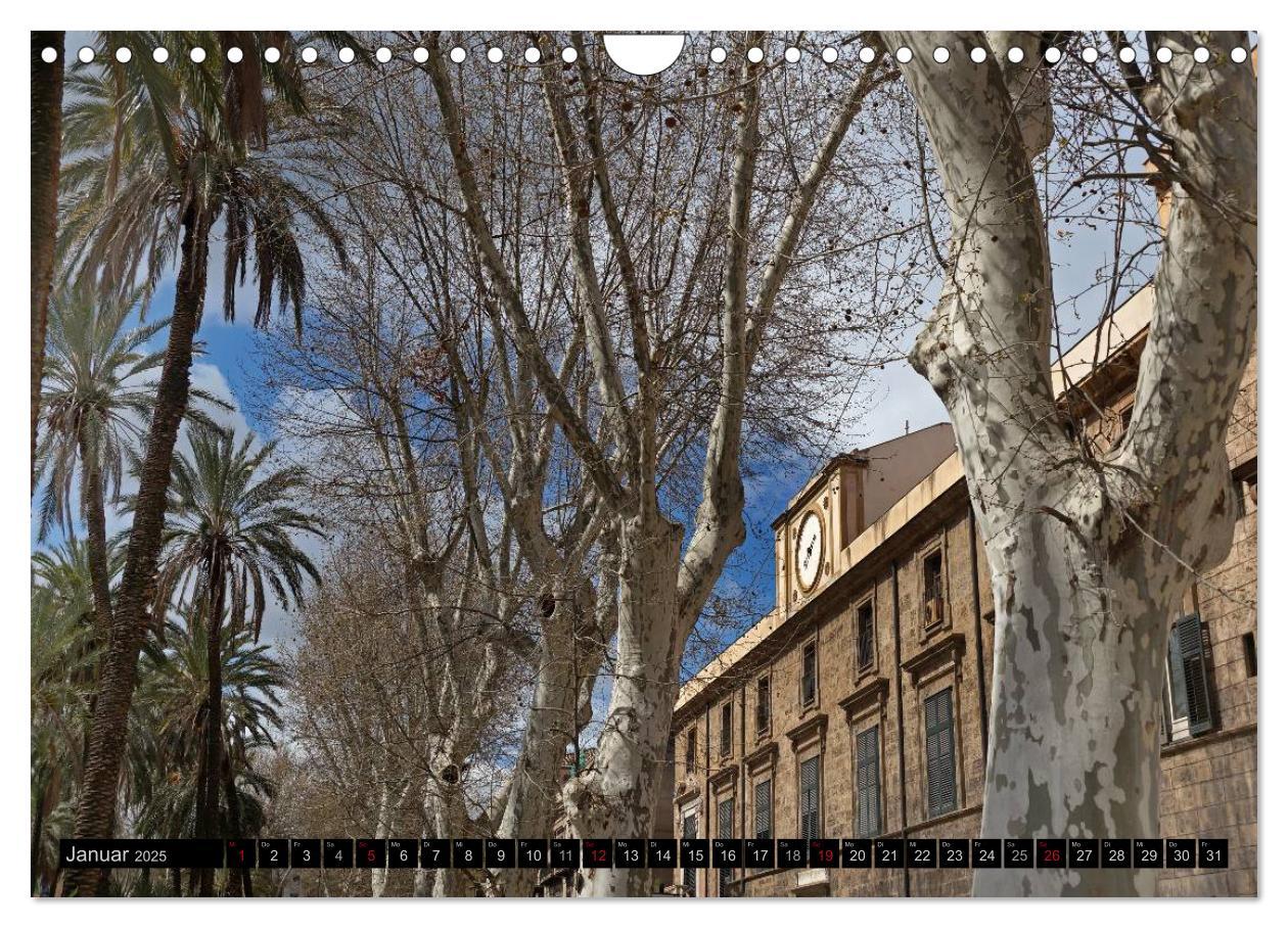 Bild: 9783435764716 | Palermo - Impressionen (Wandkalender 2025 DIN A4 quer), CALVENDO...