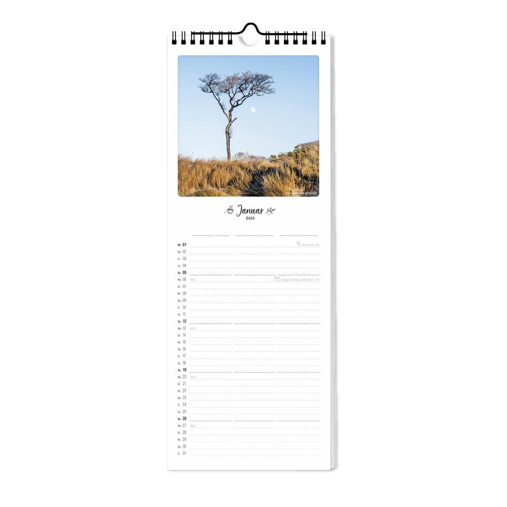 Bild: 4251781179386 | Planer 2025 - Momente der Ruhe | 3 Spalten | Pickmotion | Kalender