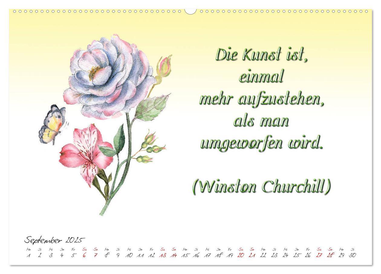 Bild: 9783435397990 | 12 unterhaltsame Zitate für ein schönes Jahr (Wandkalender 2025 DIN...