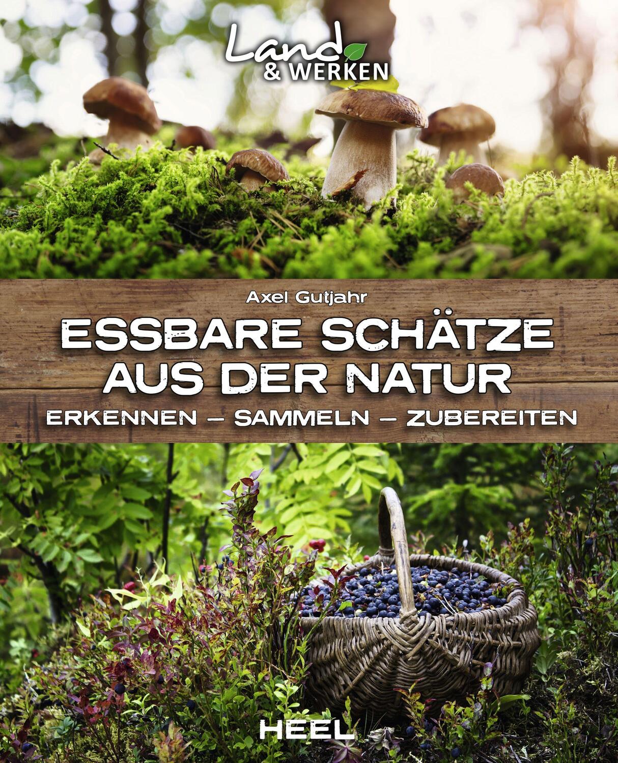 Cover: 9783966641746 | Essbare Schätze aus der Natur: Erkennen - Sammeln - Zubereiten | Buch