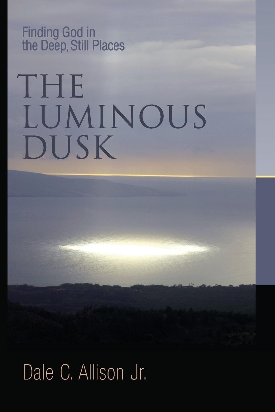 Cover: 9780802832184 | Luminous Dusk | Finding God in the Deep, Still Places | Dale C Allison