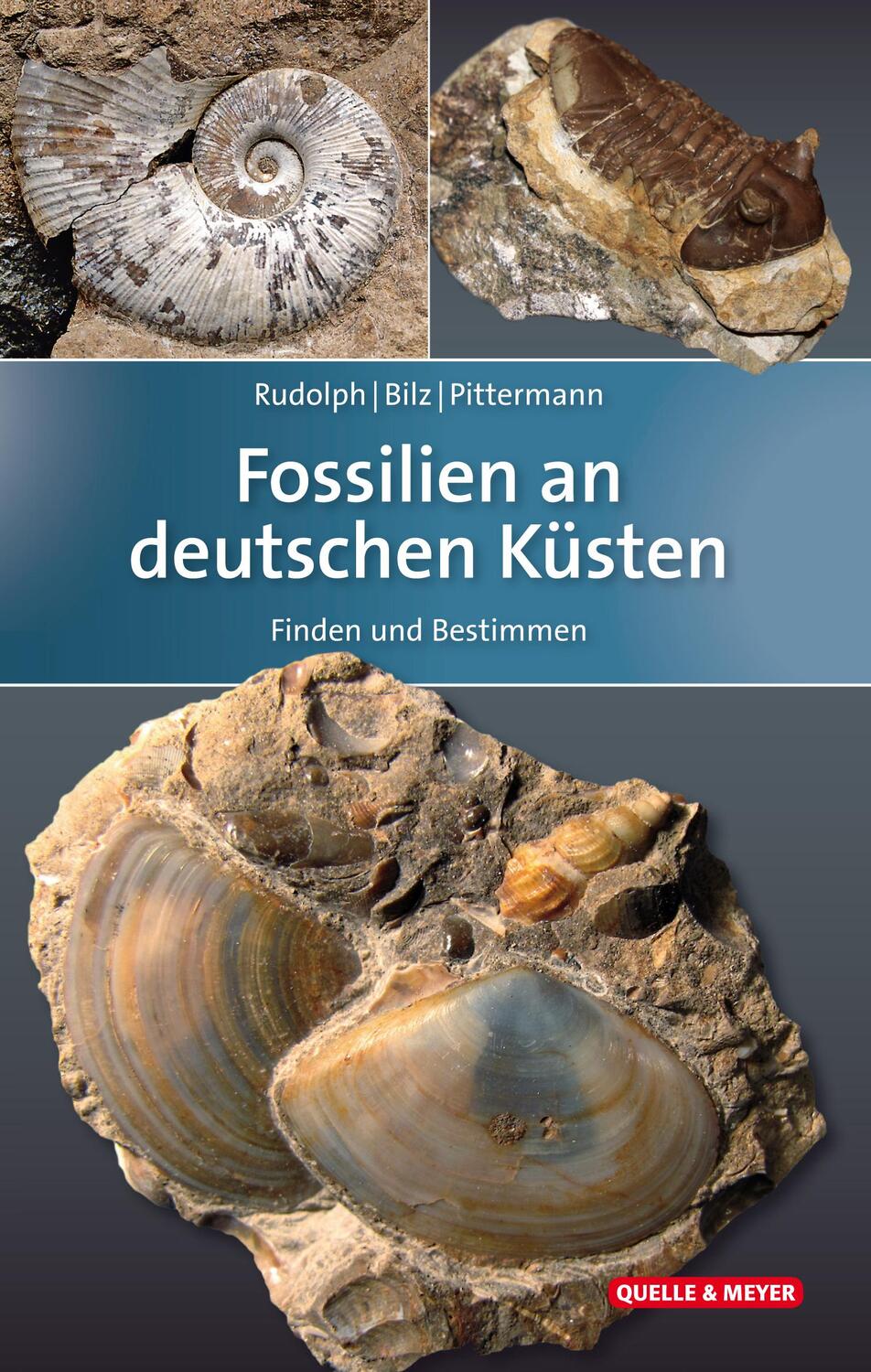 Cover: 9783494015903 | Fossilien an deutschen Küsten | Finden und Bestimmen | Rudolph (u. a.)