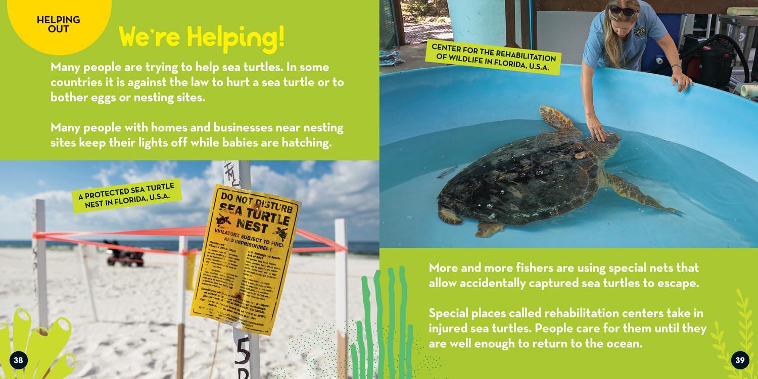 Bild: 9781426371585 | Go Wild! Sea Turtles | Jill Esbaum (u. a.) | Taschenbuch | Englisch