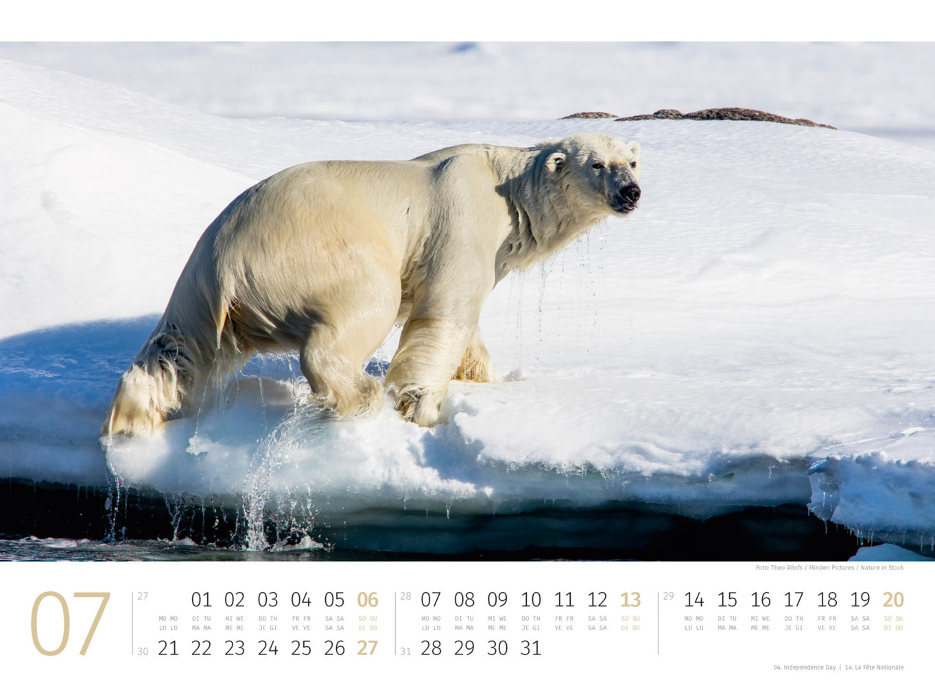 Bild: 9783838425986 | Eisbären Kalender 2025 | Ackermann Kunstverlag | Kalender | 14 S.