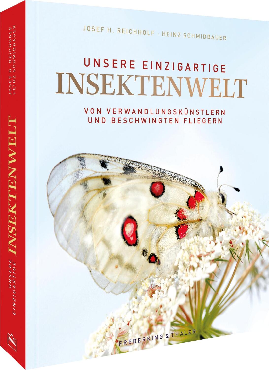 Cover: 9783954163236 | Unsere einzigartige Insektenwelt | Josef H. Reichholf (u. a.) | Buch