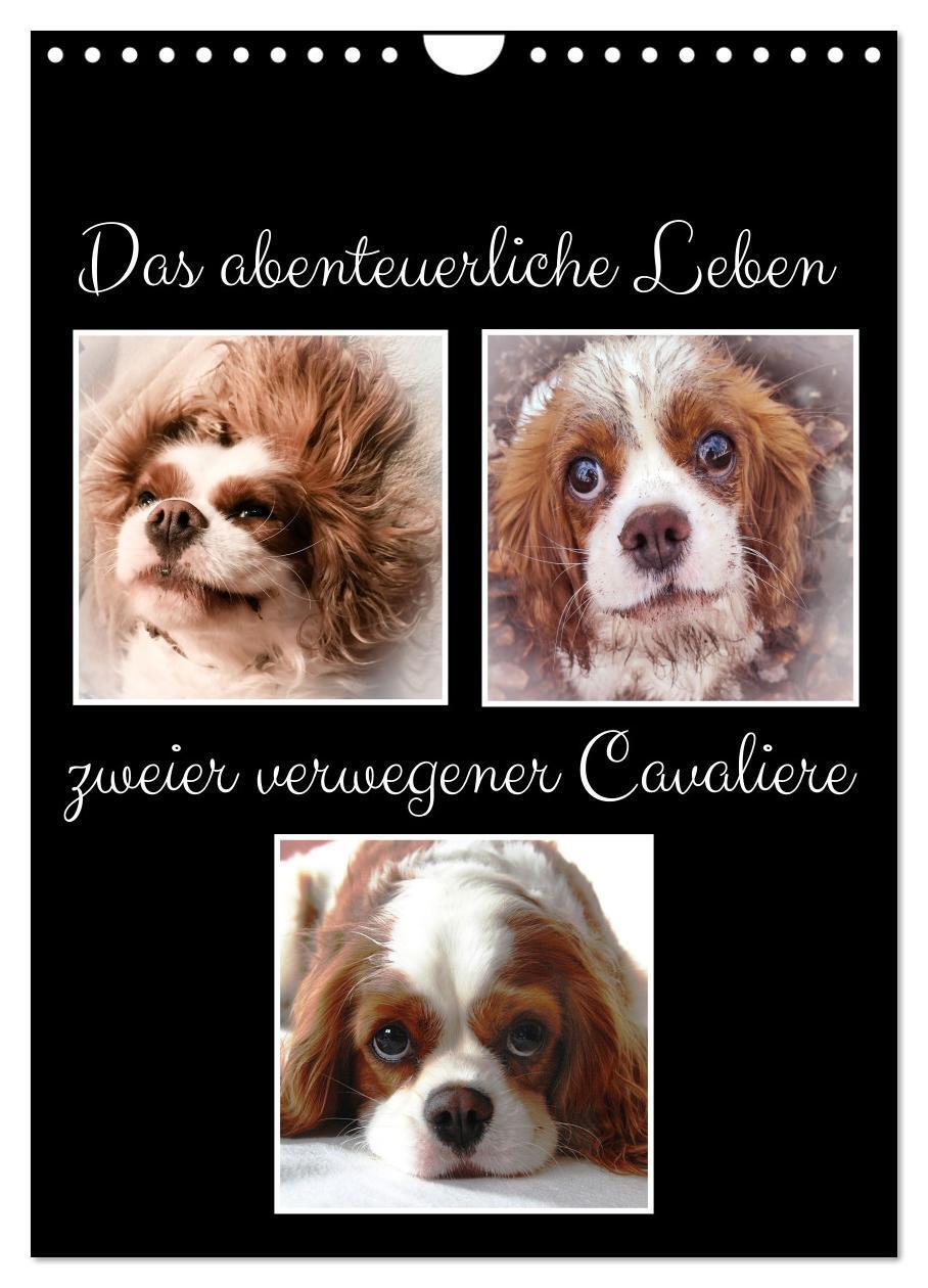 Cover: 9783675911567 | Das abenteuerliche Leben zweier verwegener Cavaliere (Wandkalender...