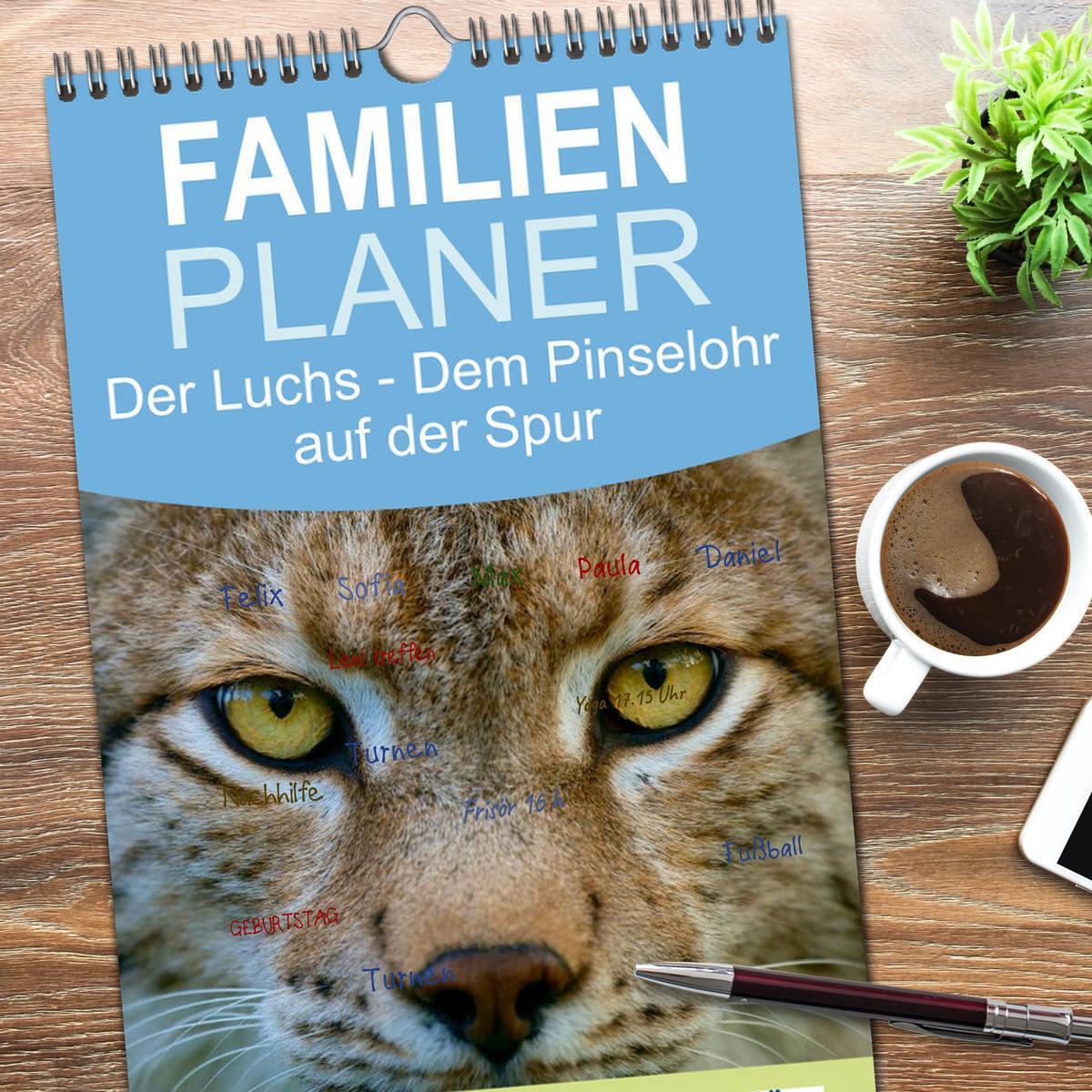 Bild: 9783457109953 | Familienplaner 2025 - Der Luchs - Dem Pinselohr auf der Spur mit 5...