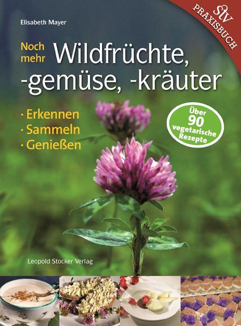 Cover: 9783702012144 | Noch mehr Wildfrüchte, -gemüse, -kräuter | Erkennen, Sammeln, Genießen