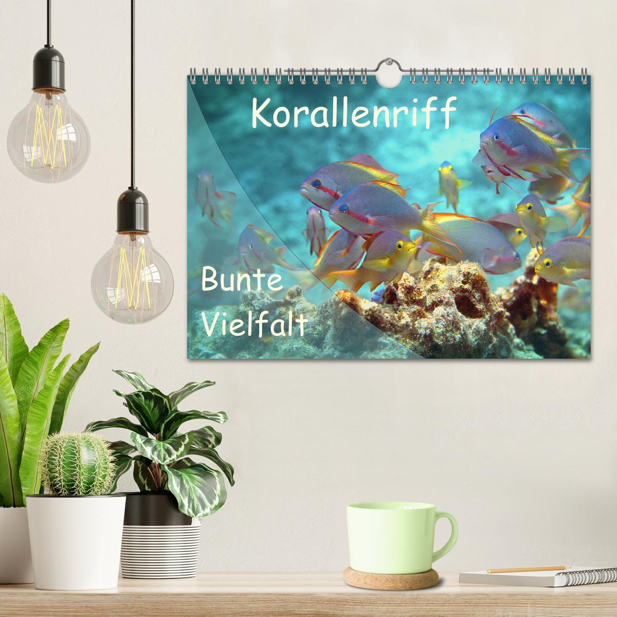 Bild: 9783435346493 | Bunte Vielfalt im Korallenriff (Wandkalender 2025 DIN A4 quer),...